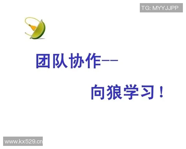 成都排球队意识探讨:提升团队协作与战术执行力的关键因素分析 成都排球队意识探讨:提升团队协作与战术执行力的关键因素分析