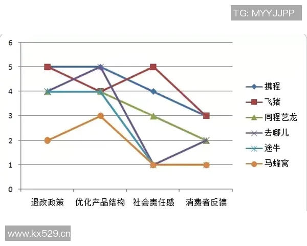 武汉攀岩队配合能力深度对比与战术分析探讨