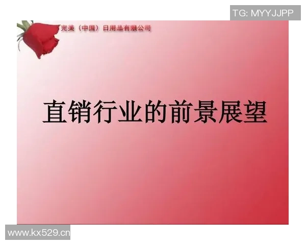 杭州飞盘队运营策略深度解析与发展前景展望